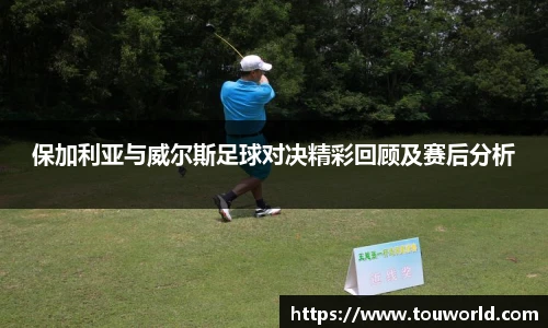 保加利亚与威尔斯足球对决精彩回顾及赛后分析